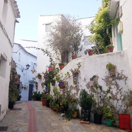 Beautiful Apartment In Duquesa Suites And Gardens Castillo de Sabinillas Eksteriør billede